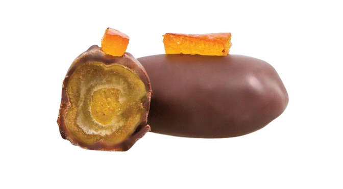 PHOTO-2024-12-09-13-16-07-removebg-preview