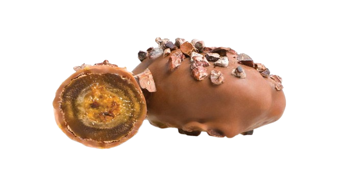 PHOTO-2024-12-09-13-16-07_2-removebg-preview