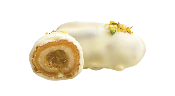 PHOTO-2024-12-09-13-16-08_2-removebg-preview